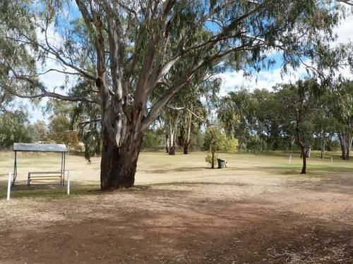 Narrabri Big Sky Caravan Park Экстерьер фото